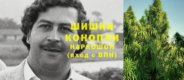 гидропоника Алзамай